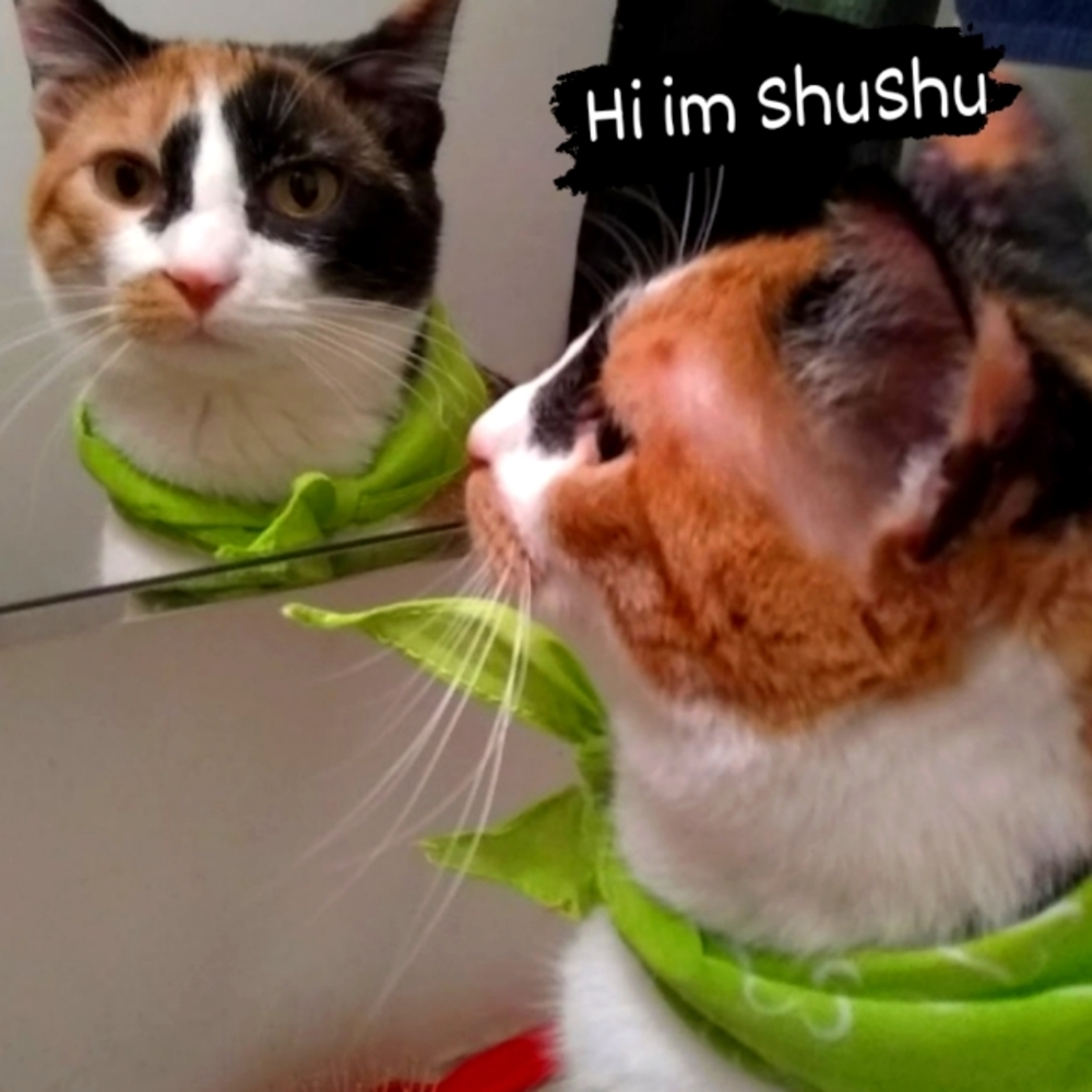Meet your Posher,  Hi im ShuShu